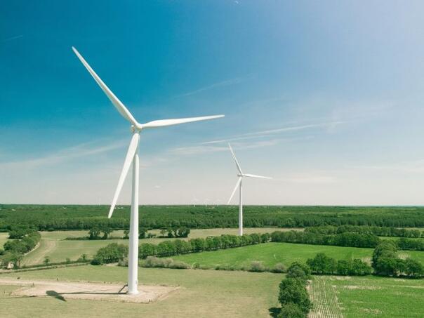 Nove tehnologije spašavaju ptice od sudara sa vjetroturbinama