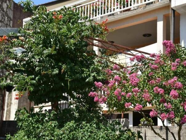 Novi detalji tragične smrti bebe u Pločama, komšije u šoku