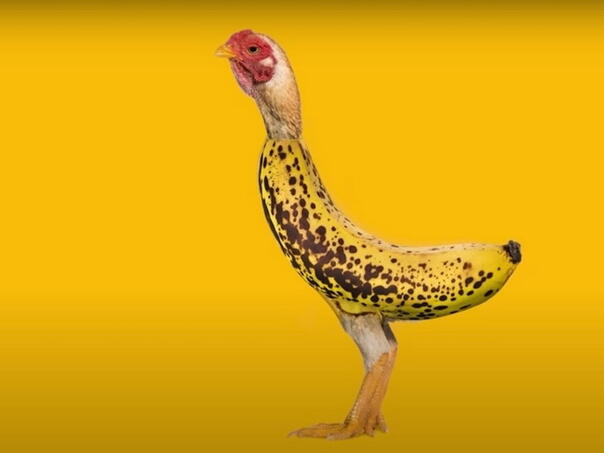 Novi dječji hit na YouTubeu koji već živcira roditelje