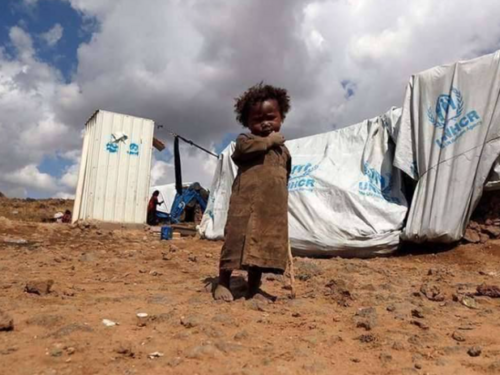 Novi globalni apel FAO-a za vanredne situacije traži 2,5 milijardi dolara