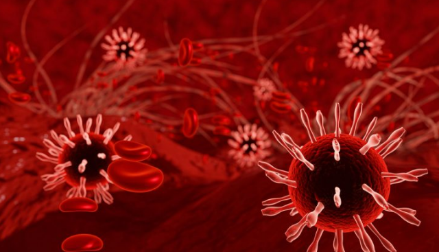 Novi koronavirus otkriven među glodavcima u Švedskoj