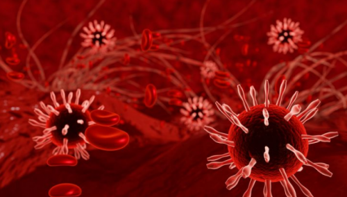 Novi koronavirus otkriven među glodavcima u Švedskoj