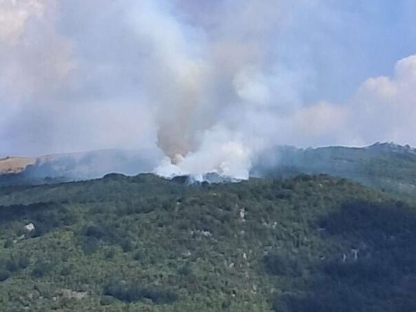 Novi požar kod Nikšića, stigao avion iz UAE za gašenje