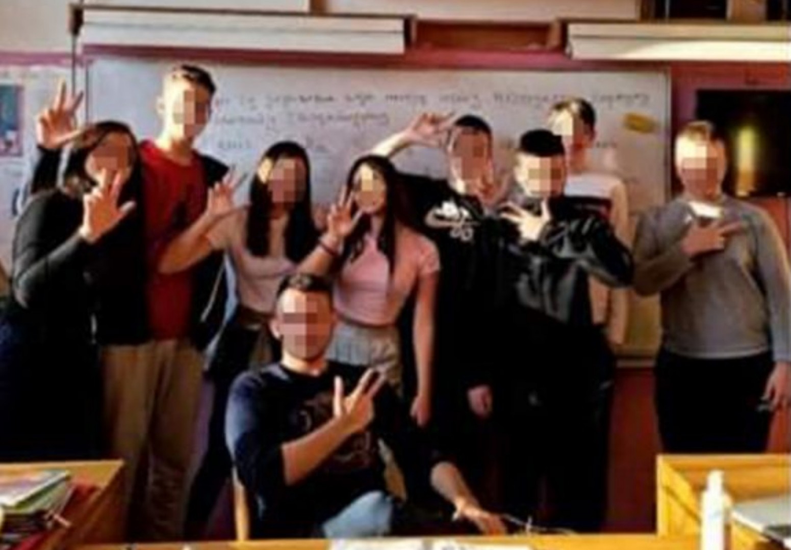 Novi Sad: Nastavnik prebrojava krvna zrnca đaka i slika se sa "srpčadima"