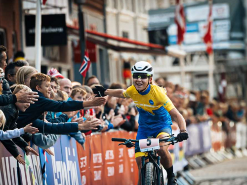 Novo poglavlje u karijeri Lejle Njemčević