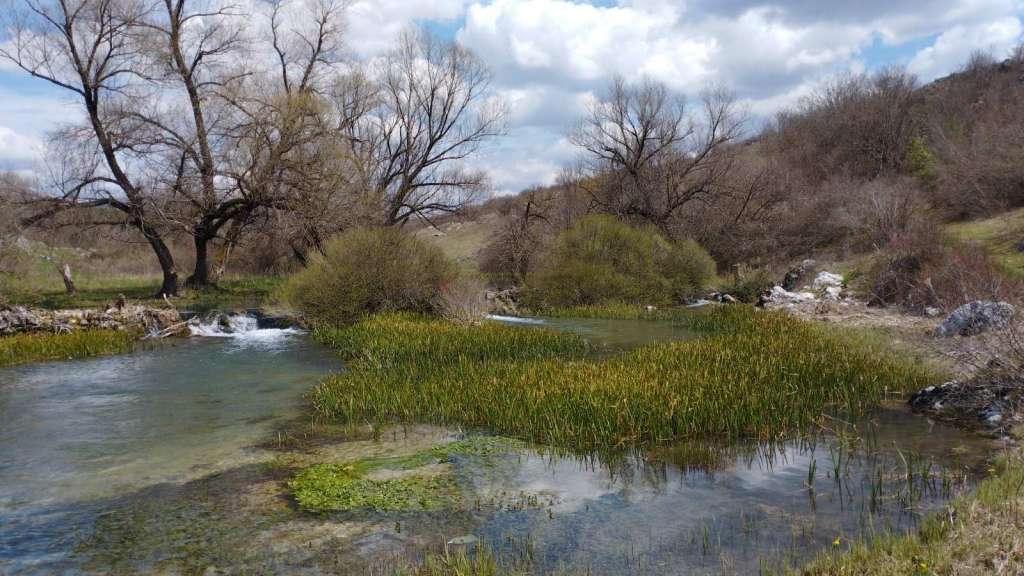 Nužno je ukloniti stare barijere na vodotocima