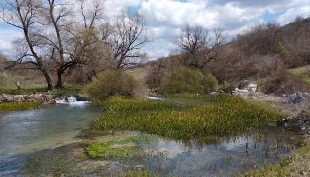 Nužno je ukloniti stare barijere na vodotocima