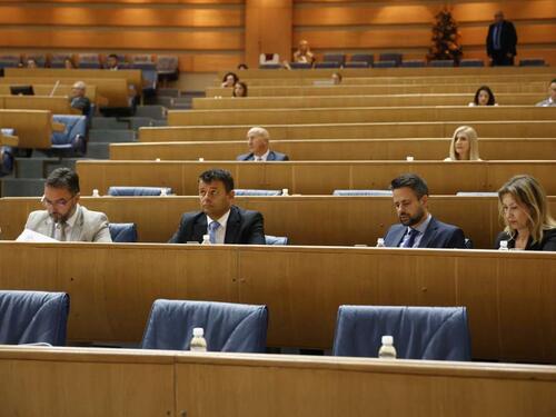 Obavljena rasprava o Prijedlogu zakona o organizaciji tržišta vina u BiH