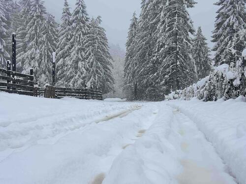 Obilne padavine u Kotor Varoši, probleme otežavaju i neprohodne ceste