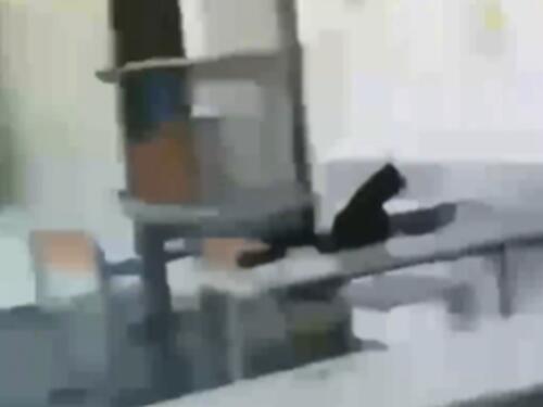 Objavljen snimak pucnjave u Grazu, raste broj mrtvih