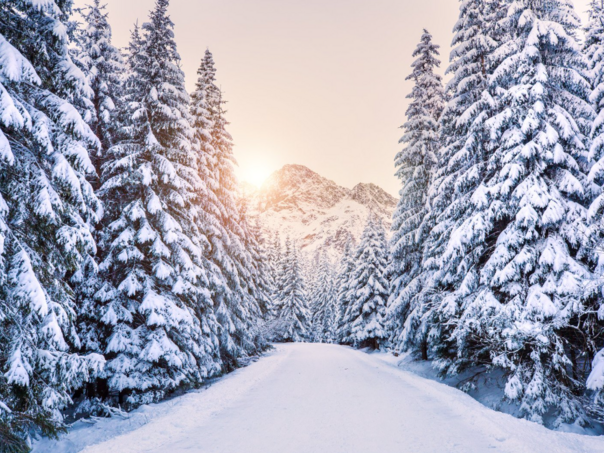 Objavljena prognoza za zimu: Na vrijeme će utjecati polarni vrtlog