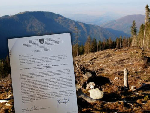 Objavljujemo dokumente kojima je odobreno krčenje šume na Bjelašnici