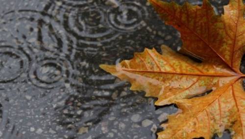 Oblačno vrijeme sa kišom jutros u BiH, poslijepodne smanjenje oblačnosti