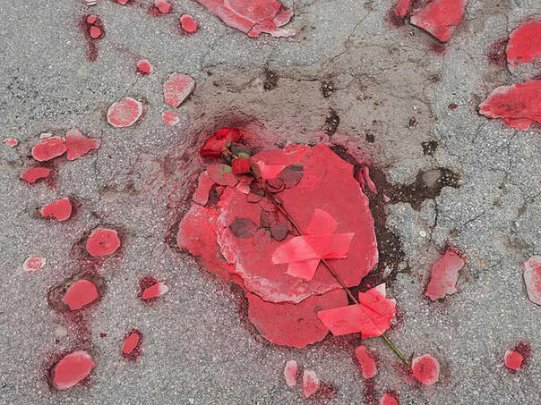 Obnovljeno deset 'sarajevskih ruža'