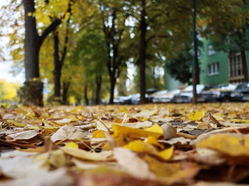 Očekuje nas oblačno vrijeme, po kotlinama magla