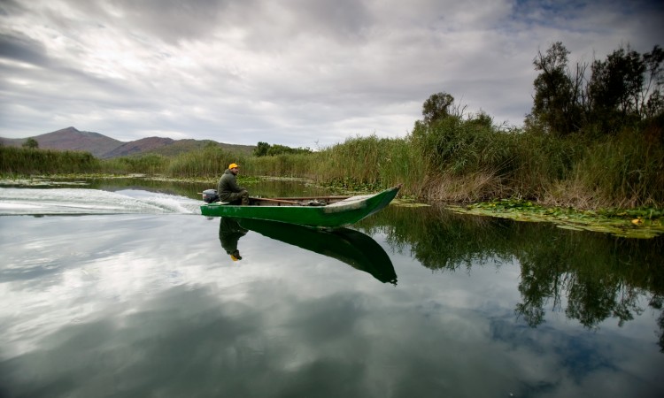 Očuvane močvare ključne za opstanak prirode i ljudi
