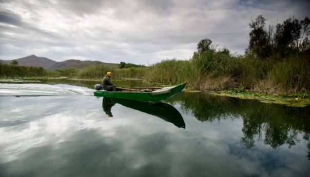 Očuvane močvare ključne za opstanak prirode i ljudi