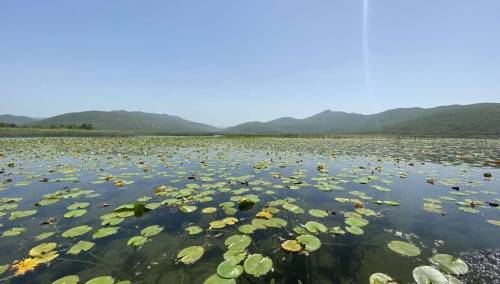 Očuvanje i obnova vlažnih staništa pitanje je očuvanja života na planeti