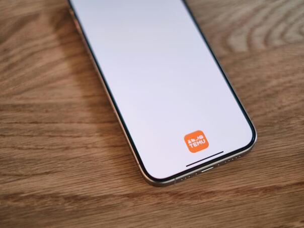 Od naredne godine Temu drastično poskupljuje