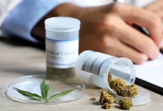 Od odluke do terapije: Medicinski kanabis legalan, ali nedostupan