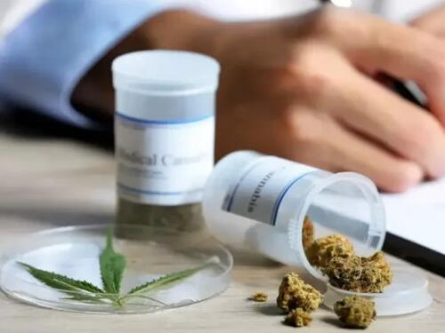 Od odluke do terapije: Medicinski kanabis legalan, ali nedostupan