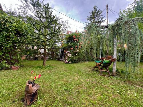 Proglašeni najljepše uređeni balkon i dvorište u Sarajevu, ovo su dobitnici