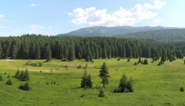 Odobren projekat za gradnju niz sadržaja na Velikom polju