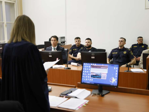 Mjesec dana pritvora vođi i članovima Pantera