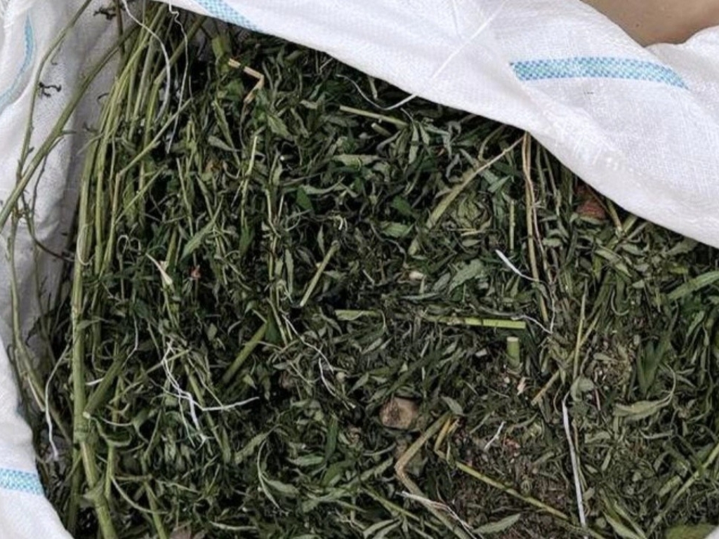 Određen pritvor muškarcu iz Modriče: Pronađeno mu 20 kilograma marihuane