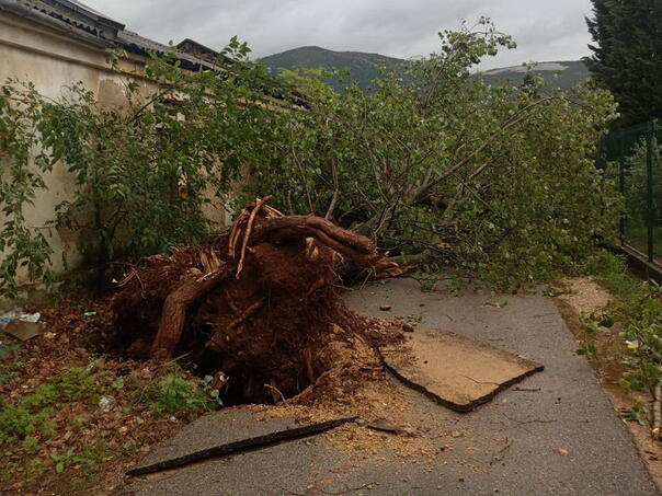 Održana vanredna sjednica CZ Grada Mostara: Oružane snage BiH pomažu u uklanjanju stabala