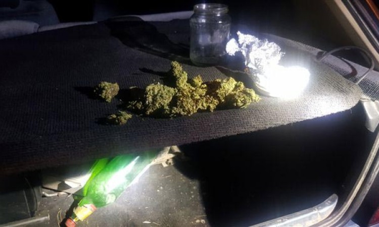 Oduzeta marihuana u graničnom pojasu na području Bihaća