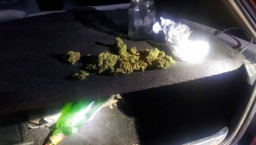 Oduzeta marihuana u graničnom pojasu na području Bihaća