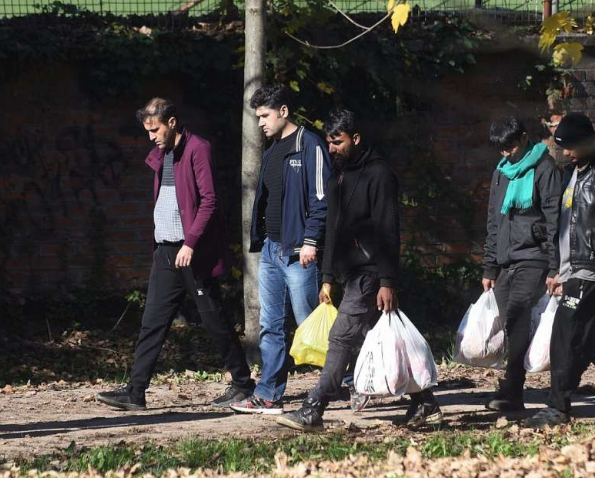 OECD: Imigracija u industrijalizirane zemlje na nivou bez presedana u 2022.