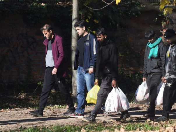 OECD: Imigracija u industrijalizirane zemlje na nivou bez presedana u 2022.