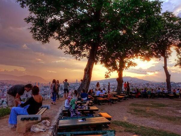 Oglasili se iz Zavoda: Stabla uklonjena sa Žute tabije predstavljala opasnost