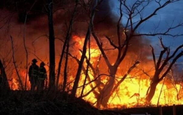 Ogroman požar na Bjelašnici: Pred vatrogascima burna noć