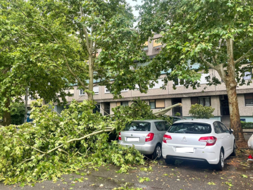 Ogromna šteta: Pogledajte posljedice jutrošnje oluje u Zagrebu