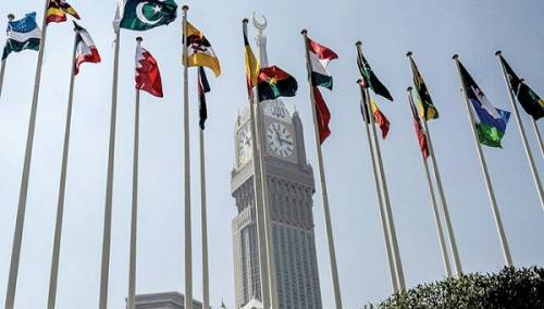 OIC će tražiti od UN-a da zaustavi izraelske napade na Palestinu