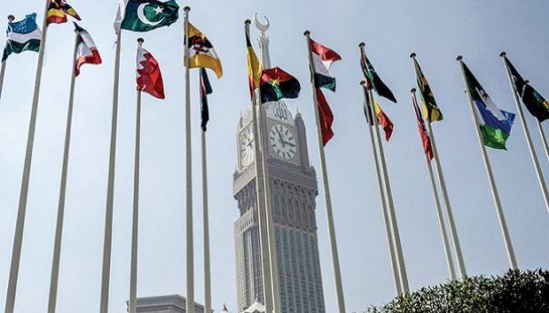 OIC će tražiti od UN-a da zaustavi izraelske napade na Palestinu