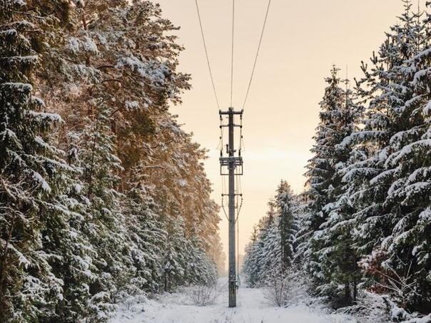 Oko 15.000 potrošača bez struje: Naredna 24 sata kritična