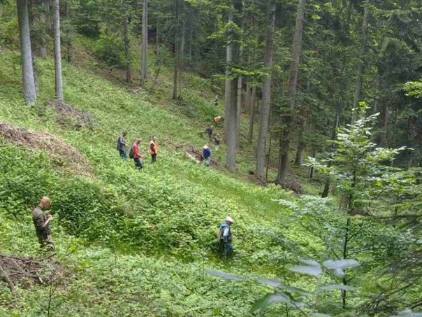 Olovo: Tragičan kraj potrage za Hamidom Ferhatovićem