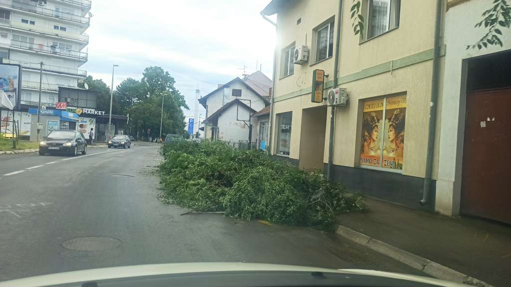 Oluja u Brčkom lomila stabla, veliki broj kvarova na elektrodistributivnoj mreži