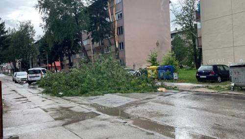 Olujno nevrijeme pogodilo Bihać, vjetar obarao drveće
