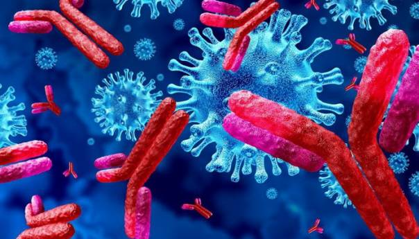 One koji su preboljeli covid antitijela štite najčešće pola godine