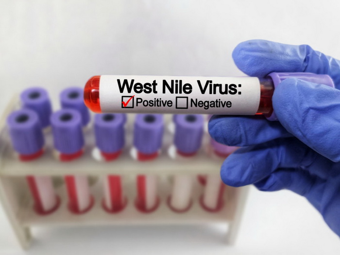 Opasni virus pogađa Evropu jače nego ikad