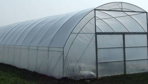 Općina Centar i ove godine dodjeljuje plastenike