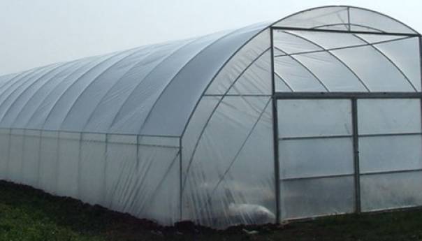 Općina Centar i ove godine dodjeljuje plastenike