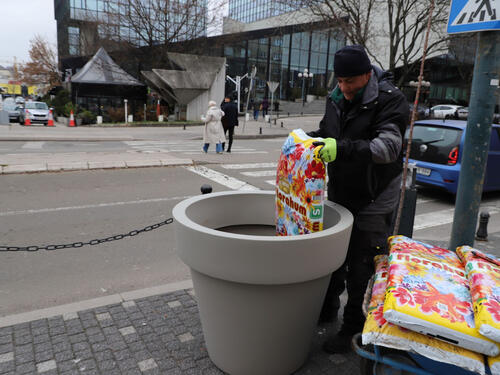 Općina Centar Sarajevo počela sadnju drveća kroz projekt „Streets for Citizens“