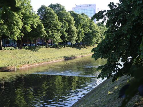 Općina Novo Sarajevo: Jedina smo gradska općina gdje nema slučajeva leptospiroze