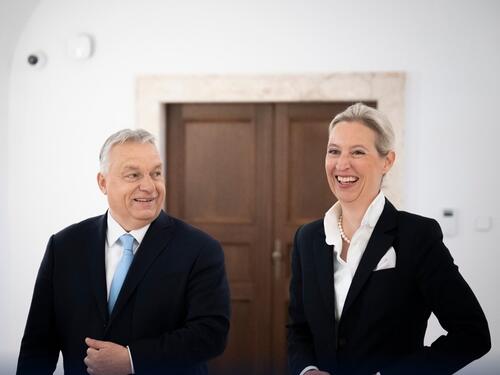 Orban o AfD-u: Stranka je budućnost njemačke politike